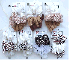 pict.GIF - 4748 Bytes