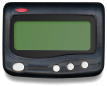 PRecord.gif (7231 bytes)