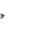 dove2.gif