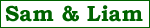 RTE GAA page
