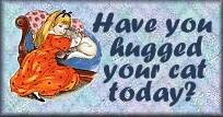Have you hugged your cat today?