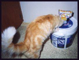 Is that Pounce I smell?