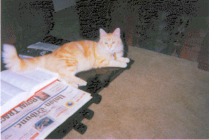 pasha kicking back
