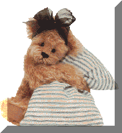 bear & pillow