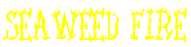 SEAWEED FIRE AOE