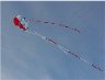 chinese fertility kite