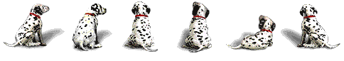 dogs_splash20.gif