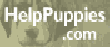 temp002.gif