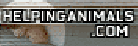 temp003.gif