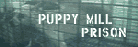 temp005.gif