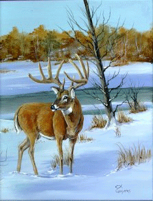 Deer