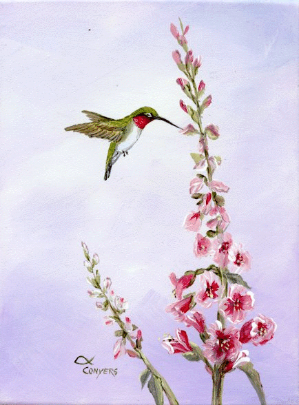 Hummingbird