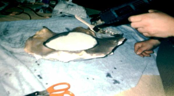 dry.jpg - 32923 Bytes