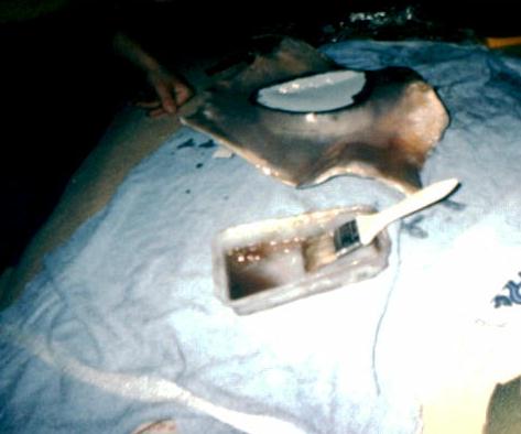 resin.jpg - 31168 Bytes