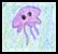 Jelly
