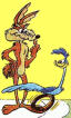 Roadrunner & Wily Coyote