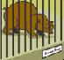 Animal in Zoo Cage