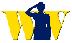 WAVES Logo