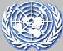 United Nations Logo