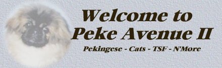 Peke Avenue