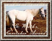 Caretaker Award