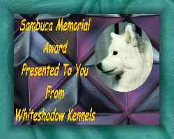 Sambuca Award