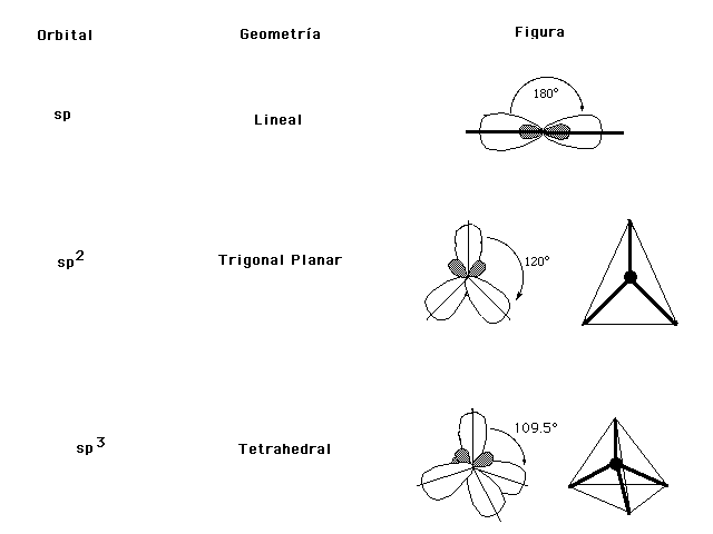 Orbitales Y Estructura