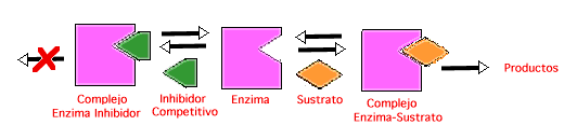 Resultado de imagen de INHIBICION ENZIMATICA