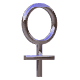femsymbol.gif (7441 bytes)