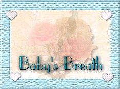 Background Babys Breath