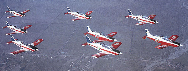 T35 Pillán in formation.