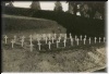 Swiss Cemetary