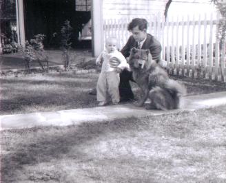 lawn3