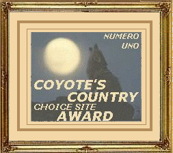 Coyote's Numero Uno Award