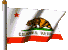 Calif. State Flag