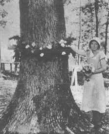 Dorotha1.jpg (88227 bytes)