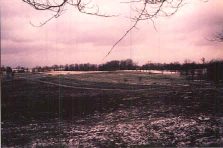 MainFld1.jpg (42787 bytes)