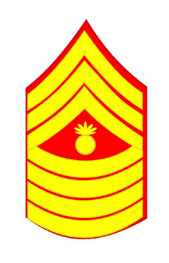 Master Gunnery Sergeant Chevron E-9