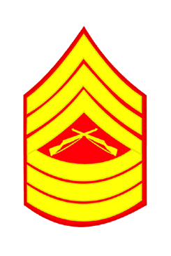 Master Sergeant Chevron E-8
