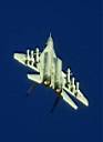 mig29.jpg