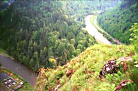 Lunca Bradului, 2003