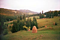 Apuseni, 2003