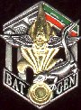 BAT_GEN.jpg (6284 bytes)