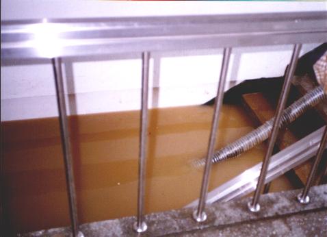 Stairs.JPG (21553 bytes)