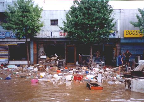 cleanup.JPG (36907 bytes)
