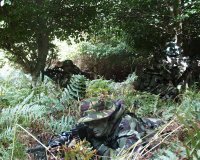 ARW - Camo
