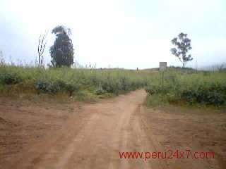 Las Lomas de Lachay