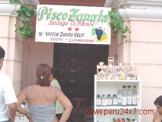 piscozapata