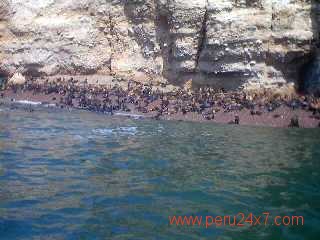ISLAS BALLESTAS