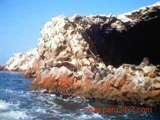 ISLAS BALLESTAS